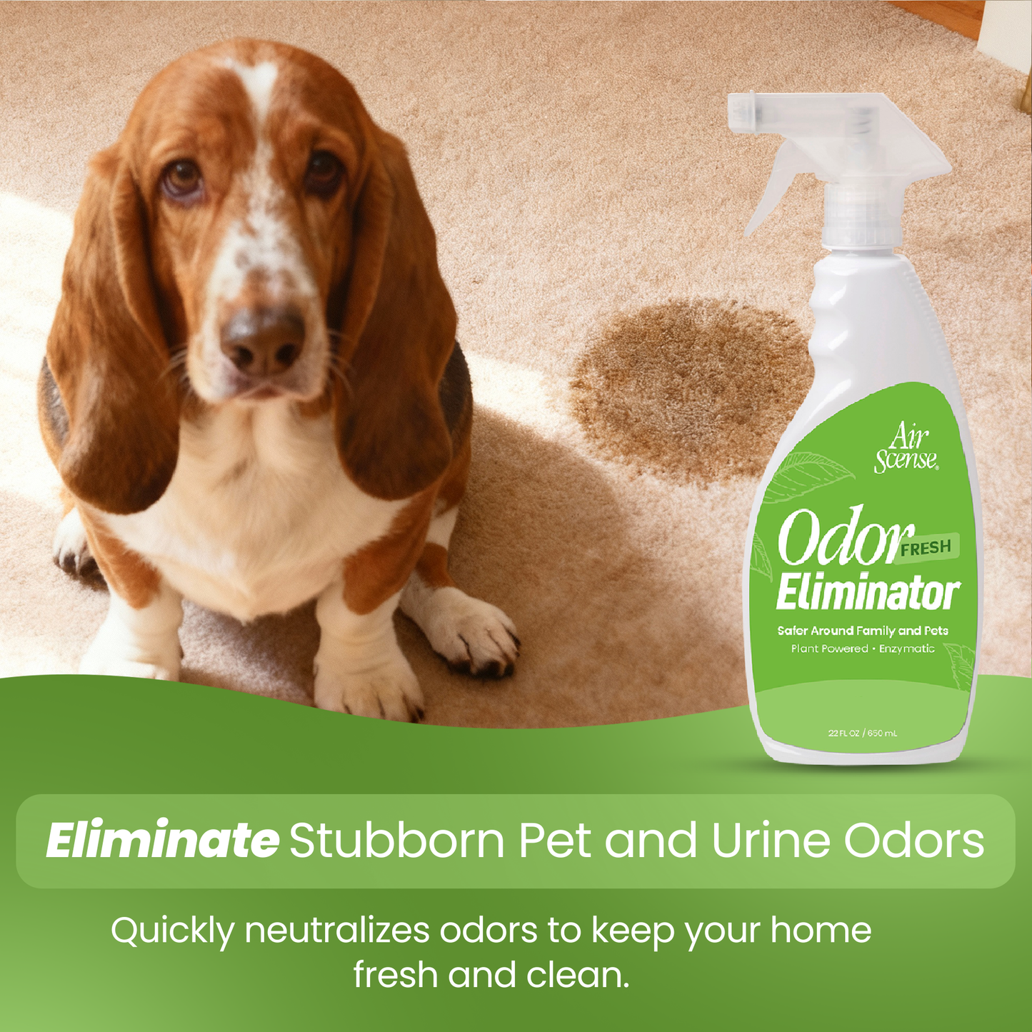 Air Scense Complete Air Care System Lime & Citrus
