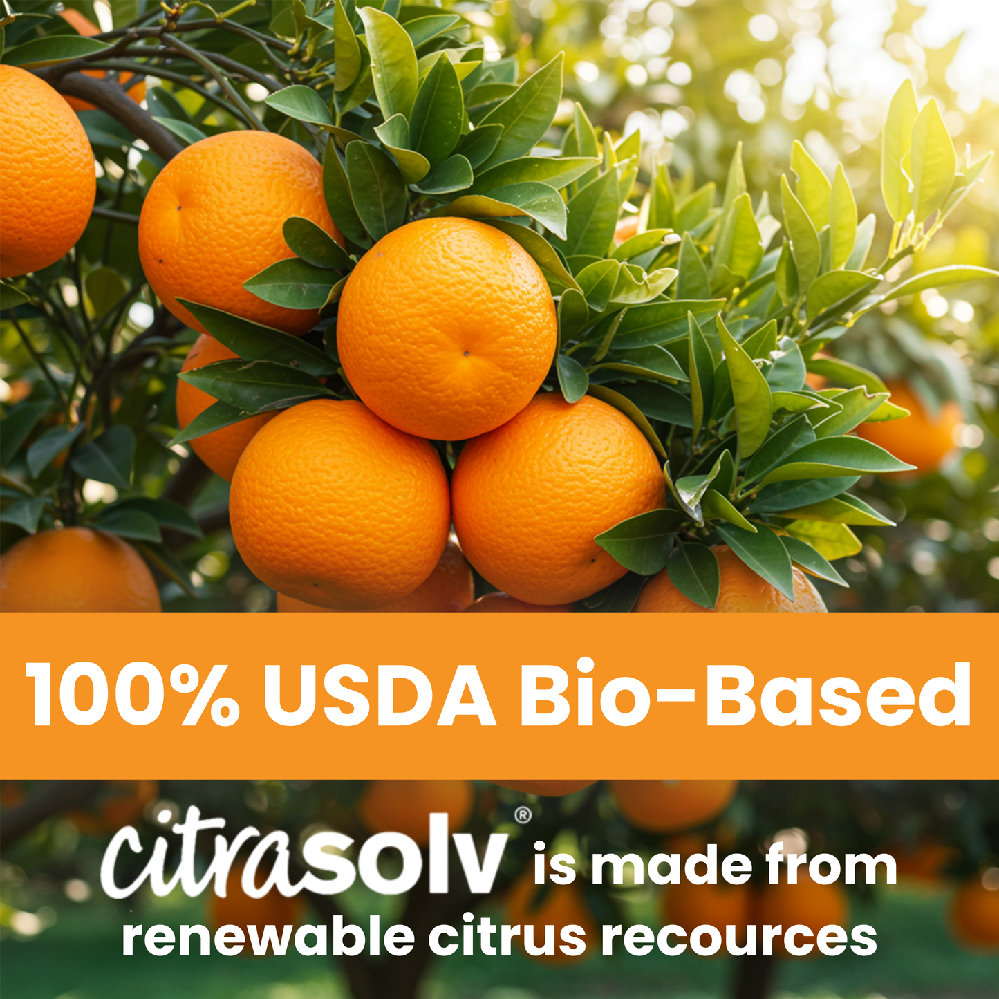 Citra Solv Concentrated Cleaner & Degreaser