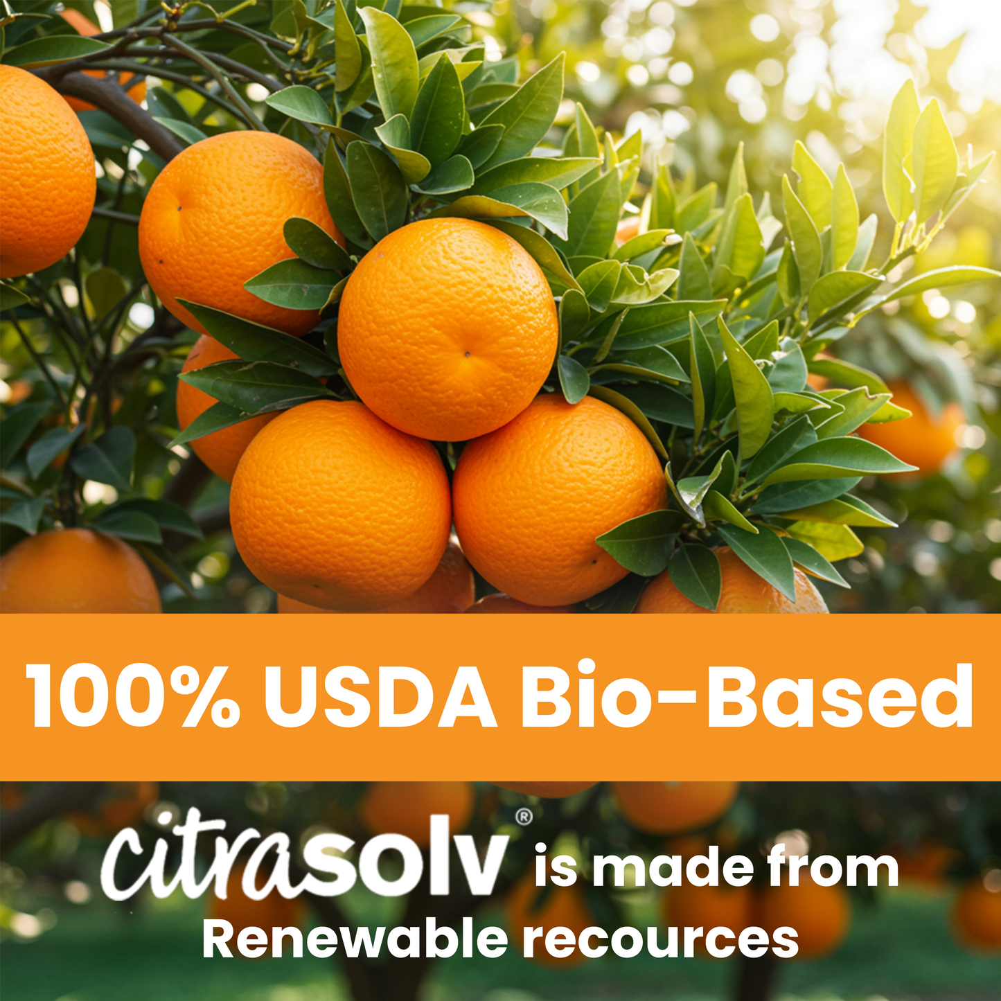 Citra Solv Multi-Purpose Spray Cleaner Valencia Orange 22 fl oz