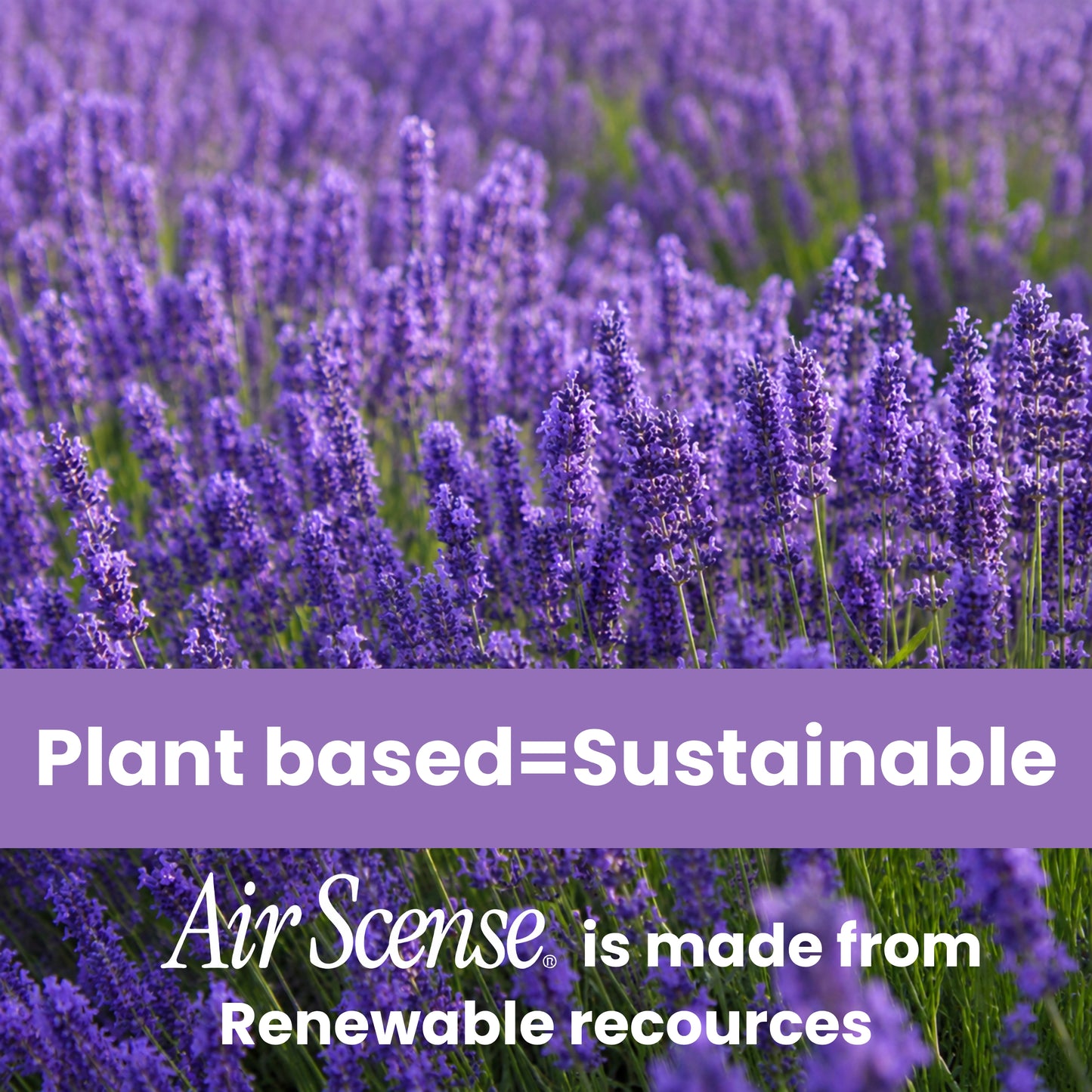 Air Scense Complete Air Care System Lavender & Lavender-Vanilla