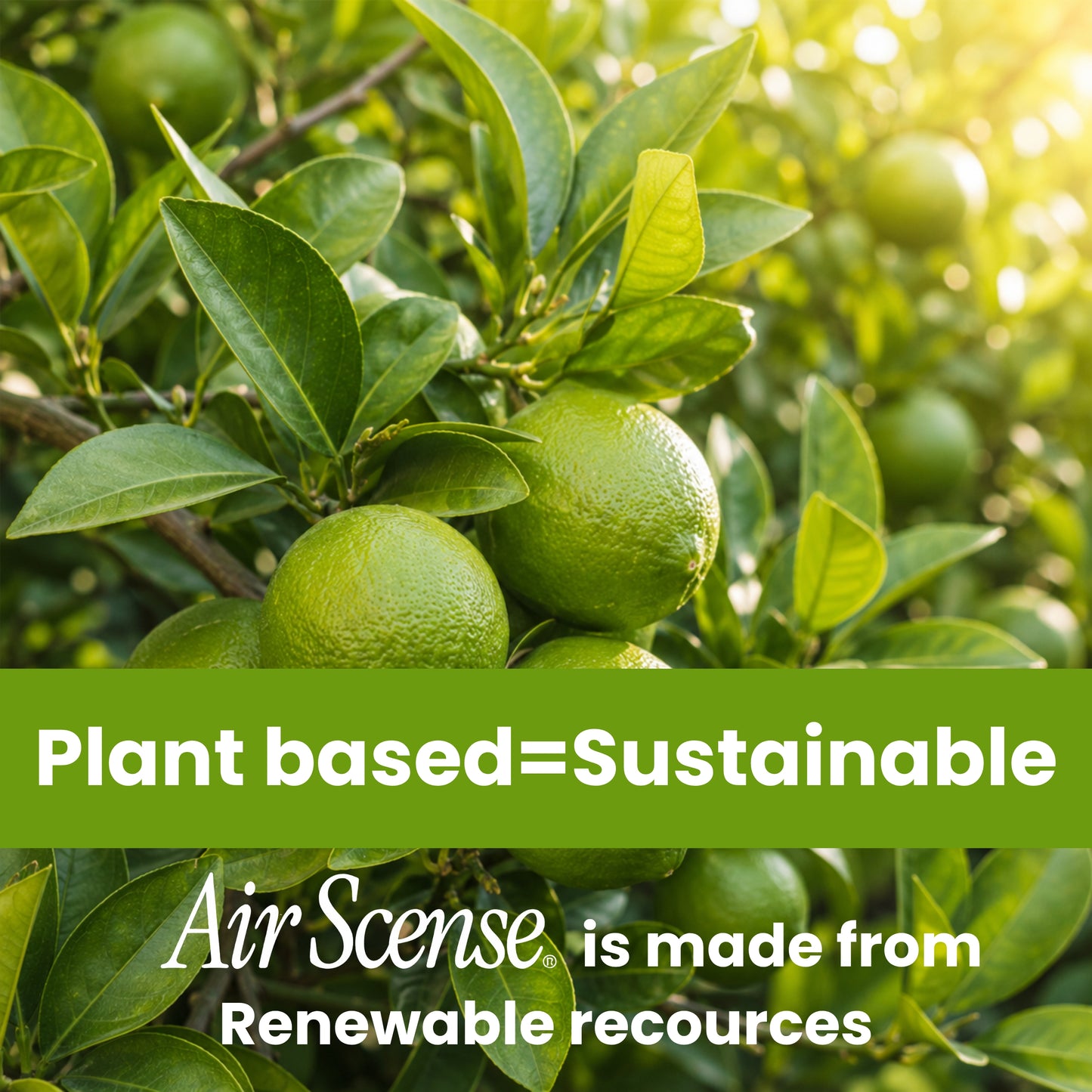Air Scense Complete Air Care System Lime & Citrus