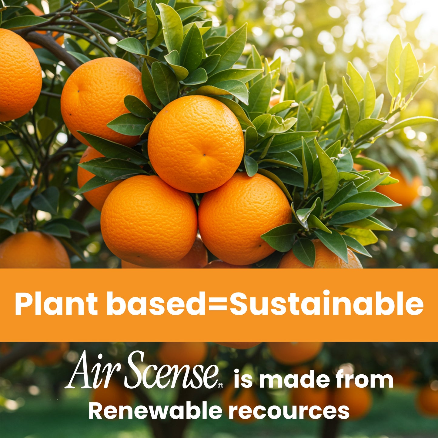 Air Scense Complete Air Care System Orange & Citrus – 2 Air Fresheners, 2 Toilet Pre‑Sprays, 1 Odor Eliminator