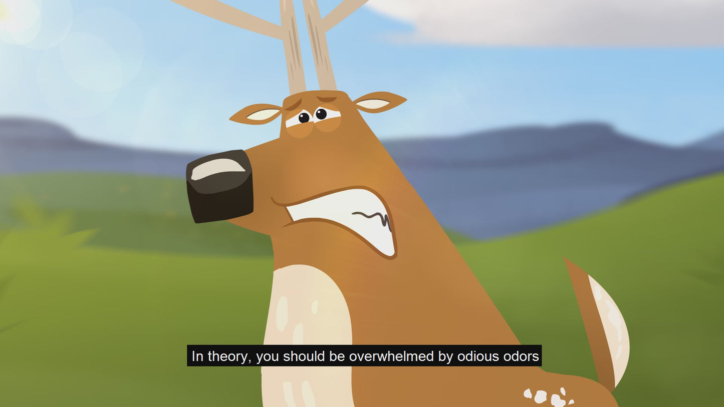 Load and play video in Gallery viewer, Citrus Lime Bundle
